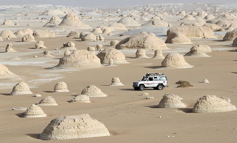 white-desert-safari-tou