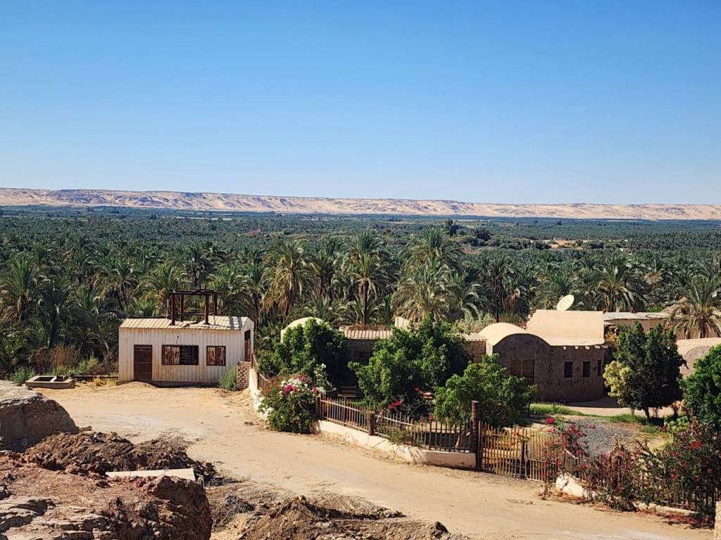 Bahariya Oasis