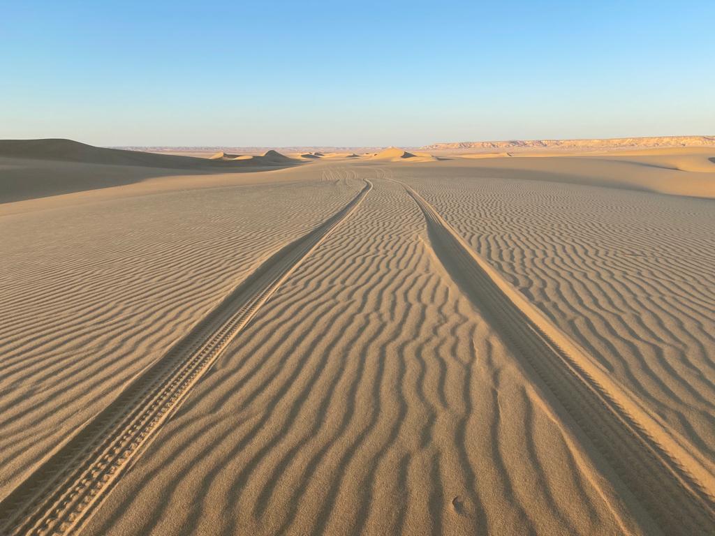 Desert Safari in Egypt