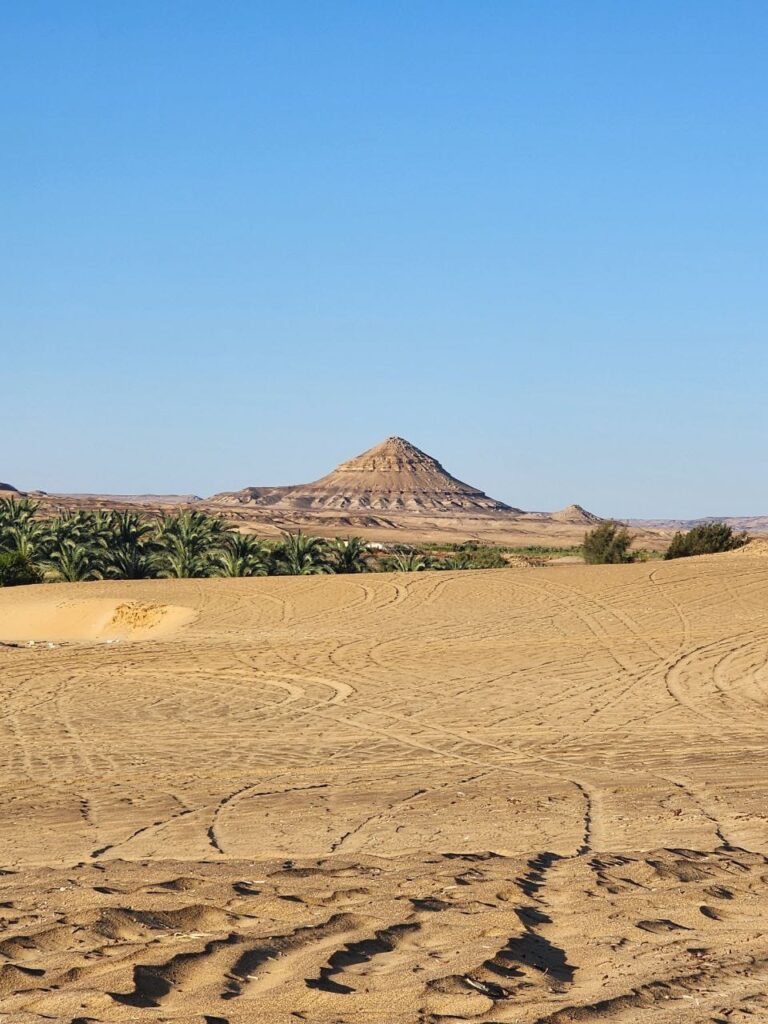 bahariya oasis