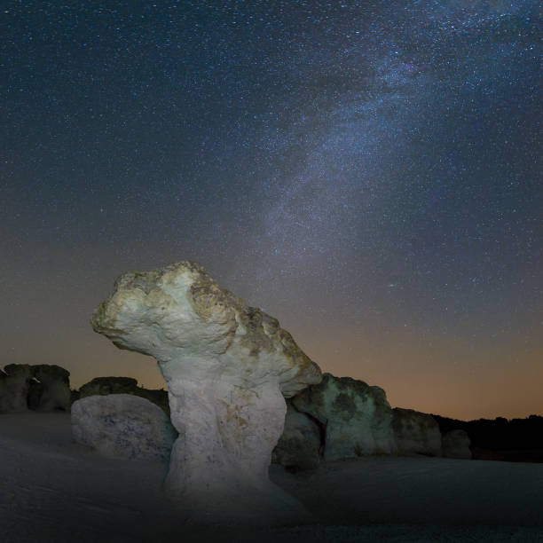 white desert stargazing