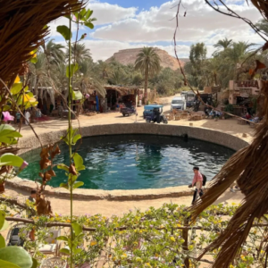 Cairo to Siwa Oasis