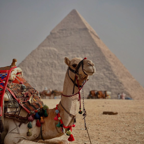 Pyramids, Egypt Camp White Desert (3)