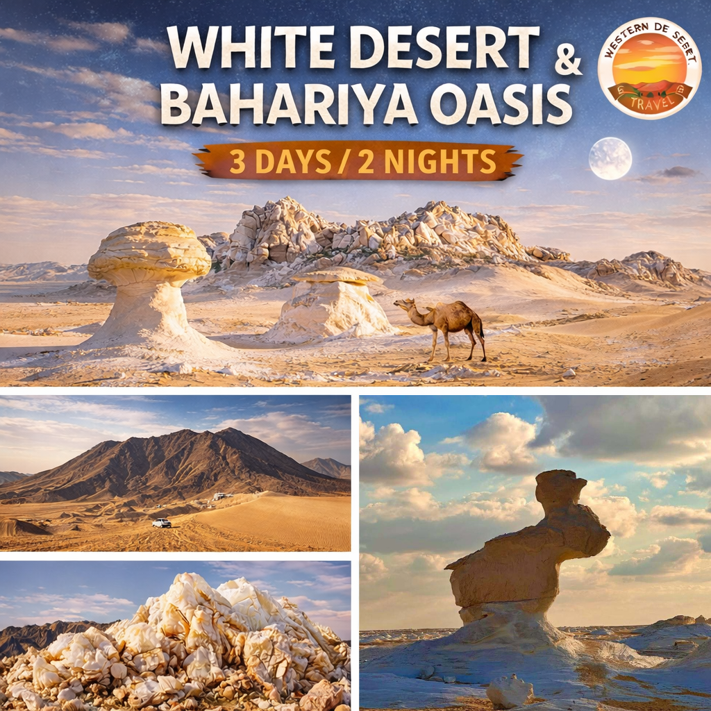3 Days White Desert Tour from Cairo | Bahariya Oasis Safari + White Desert Camping (3 Days / 2 Nights)