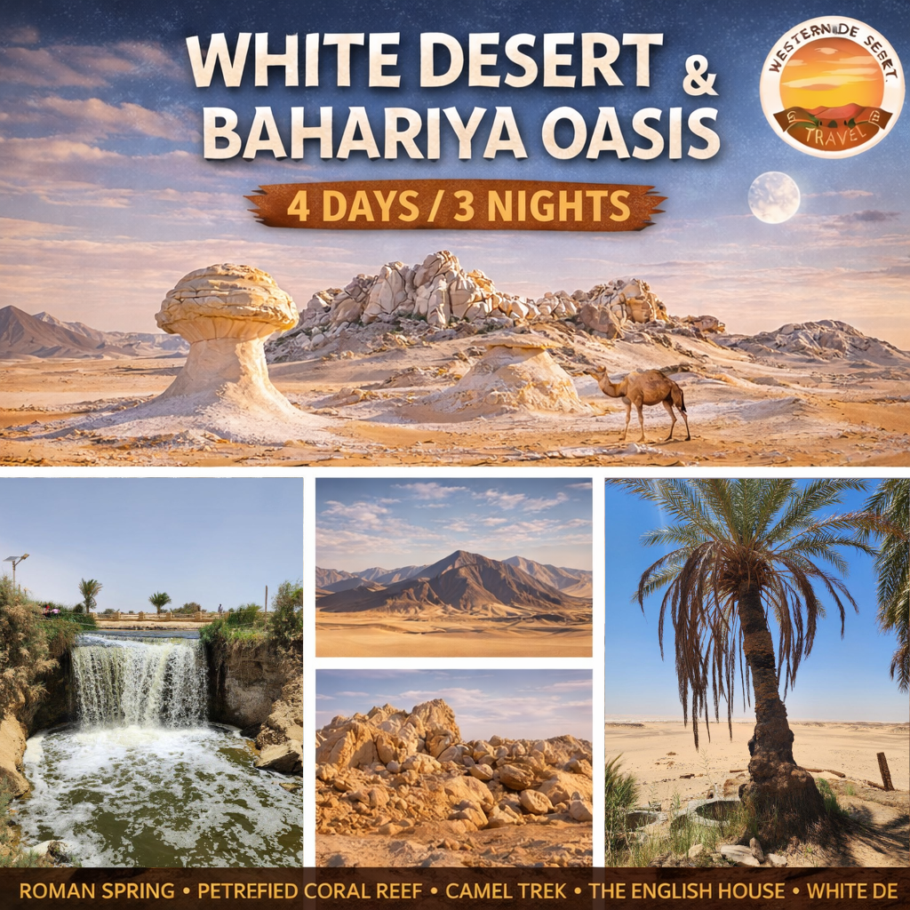 🏜️ 4 Days White Desert Tour from Cairo | Bahariya Oasis + Magic Spring + White Desert Camping (4 Days / 3 Nights)