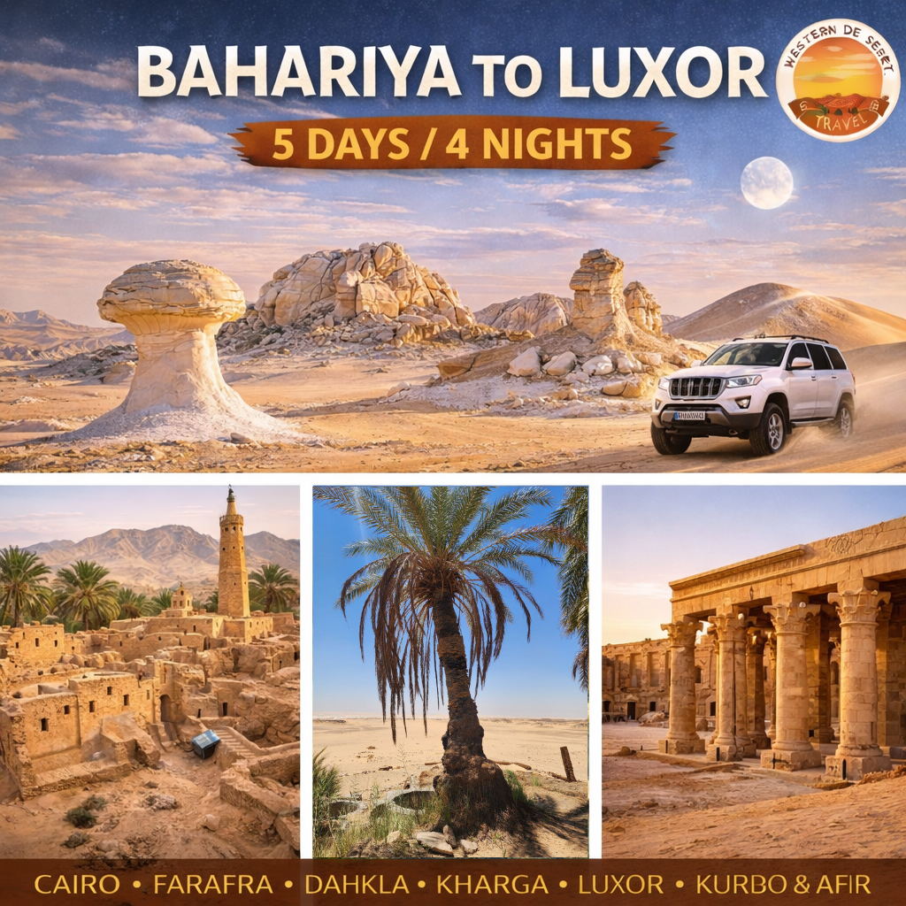 🏜️ Western Desert Tour from Cairo to Luxor | 5 Days / 4 Nights Multi-Oasis Expedition