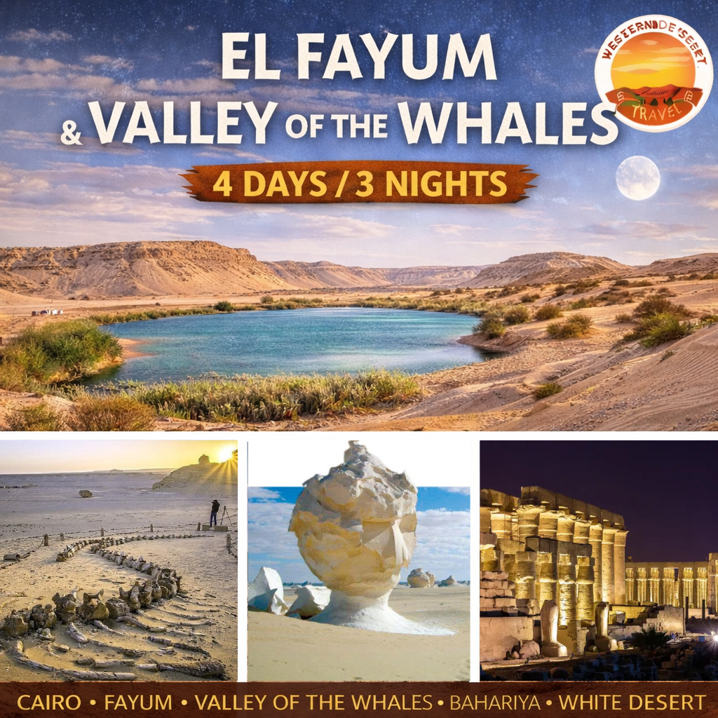 🏜️Fayoum to White Desert Tour from Cairo | Wadi El Rayan + Valley of the Whales + Bahariya + White Desert (4 Days / 3 Nights)