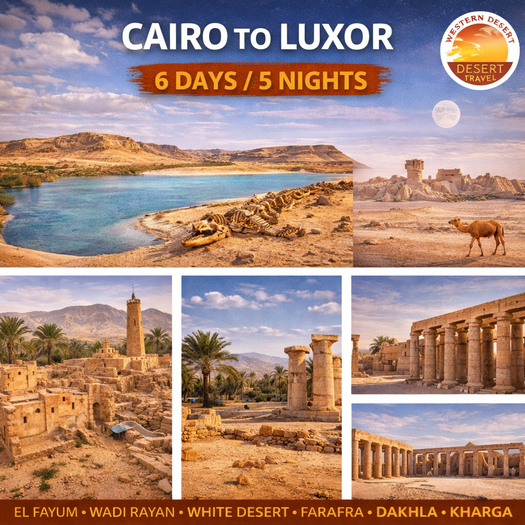 TOUR FOR THE WESTERN DESERT “Tour Oases III”