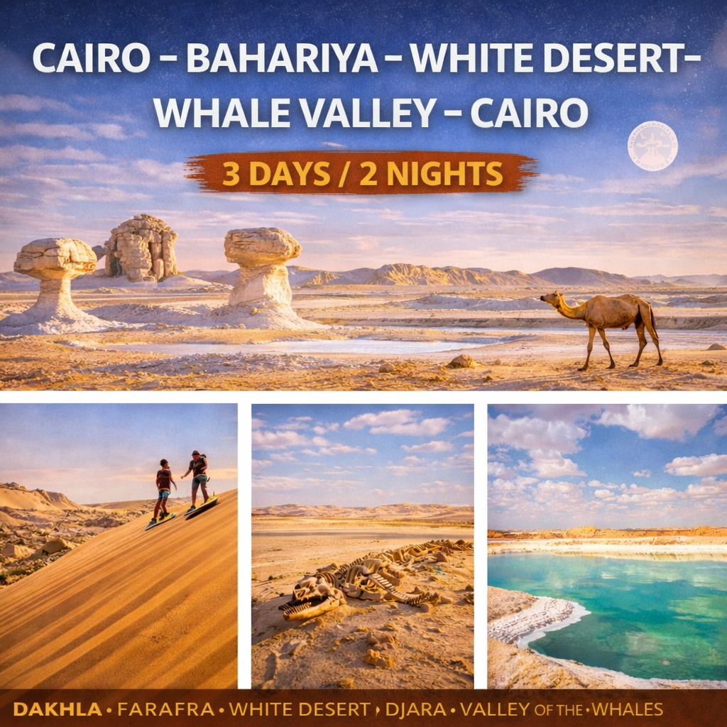BASIC TOUR FOR THE WESTERNDESERT (3 days/ 2 nights)