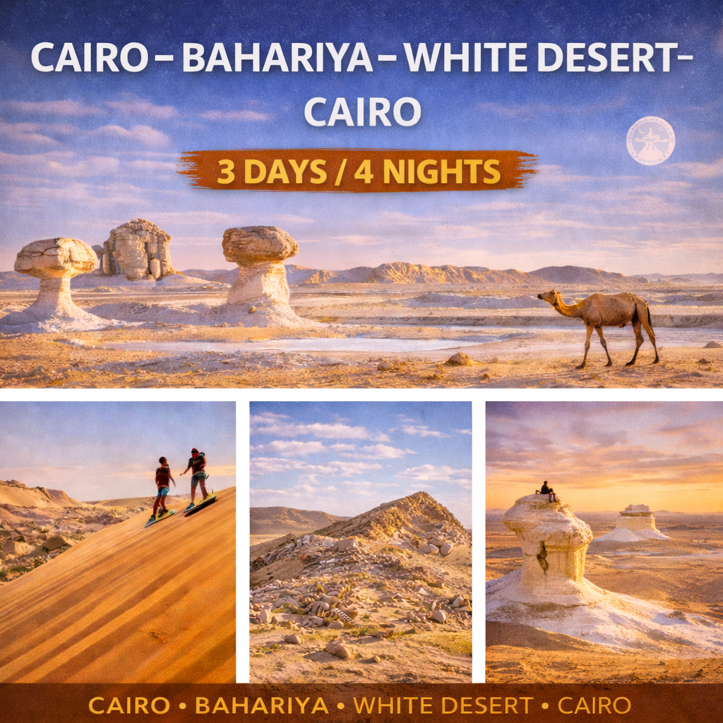 BASIC TOUR FOR THE WESTERNDESERT “  Camel trip