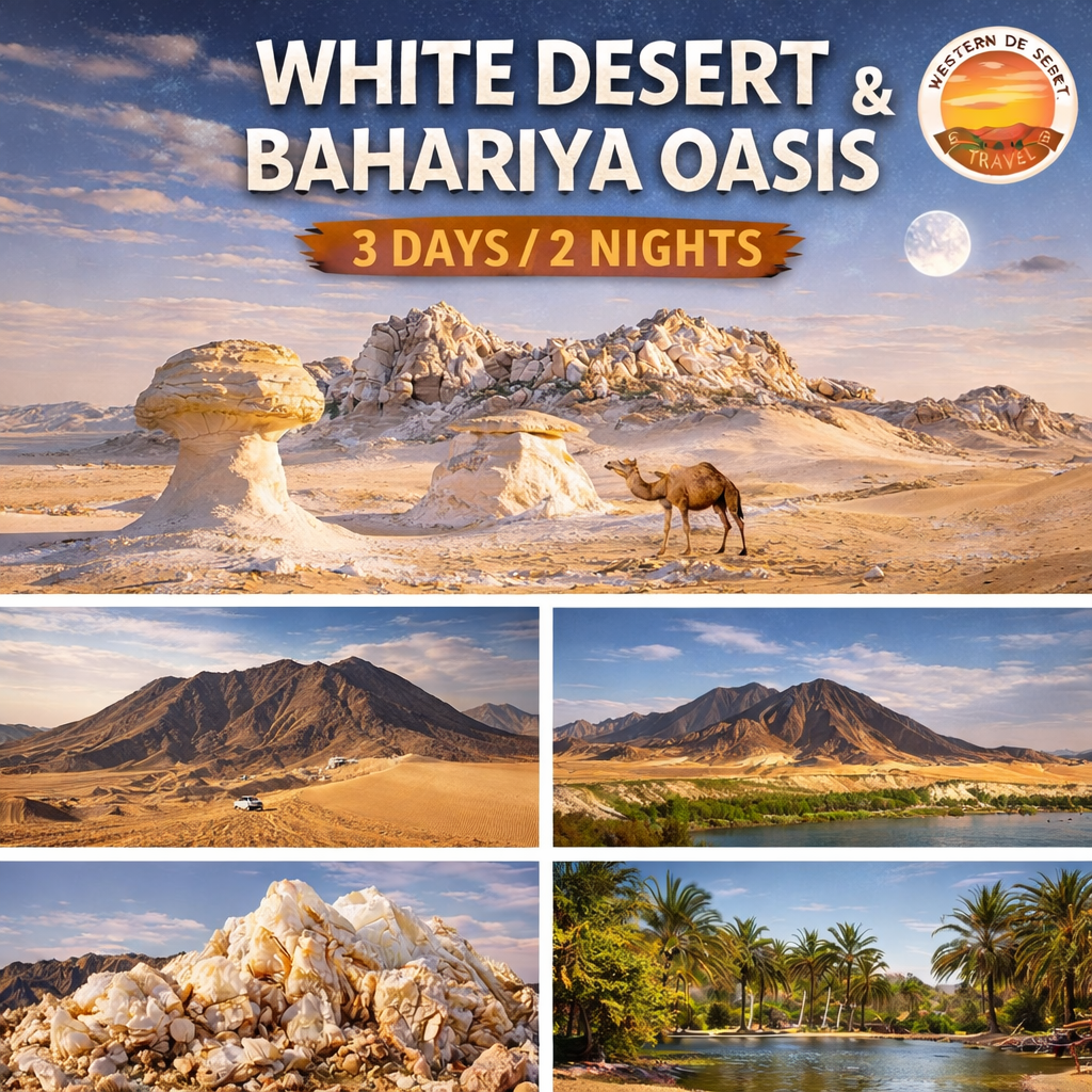 BASIC TOUR FOR THE WESTERN DESERT (3 days / 2 nights)