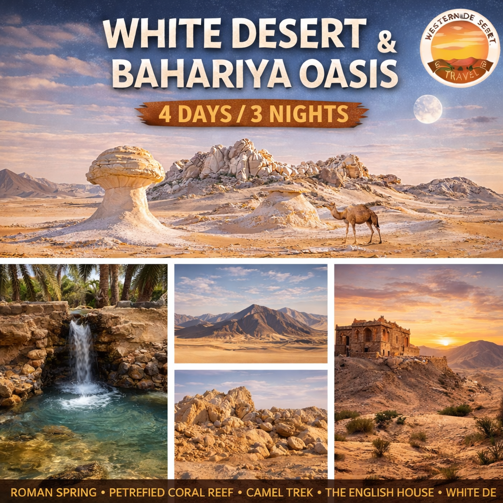 BASIC TOUR FOR THE WESTERN DESERT (4 days/ 3 nights)