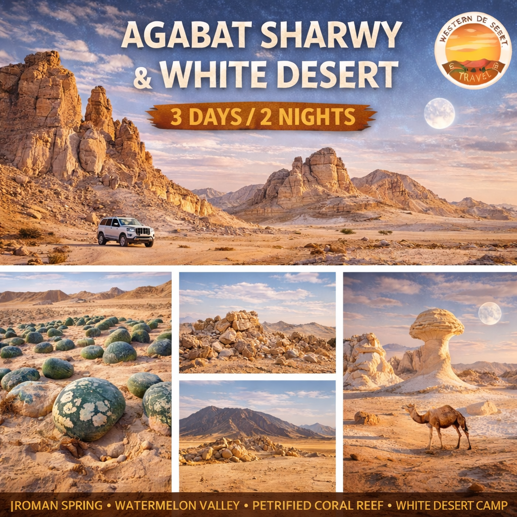 BASIC TOUR FOR THE WESTERN DESERT ( 3 days/ 2 nights)