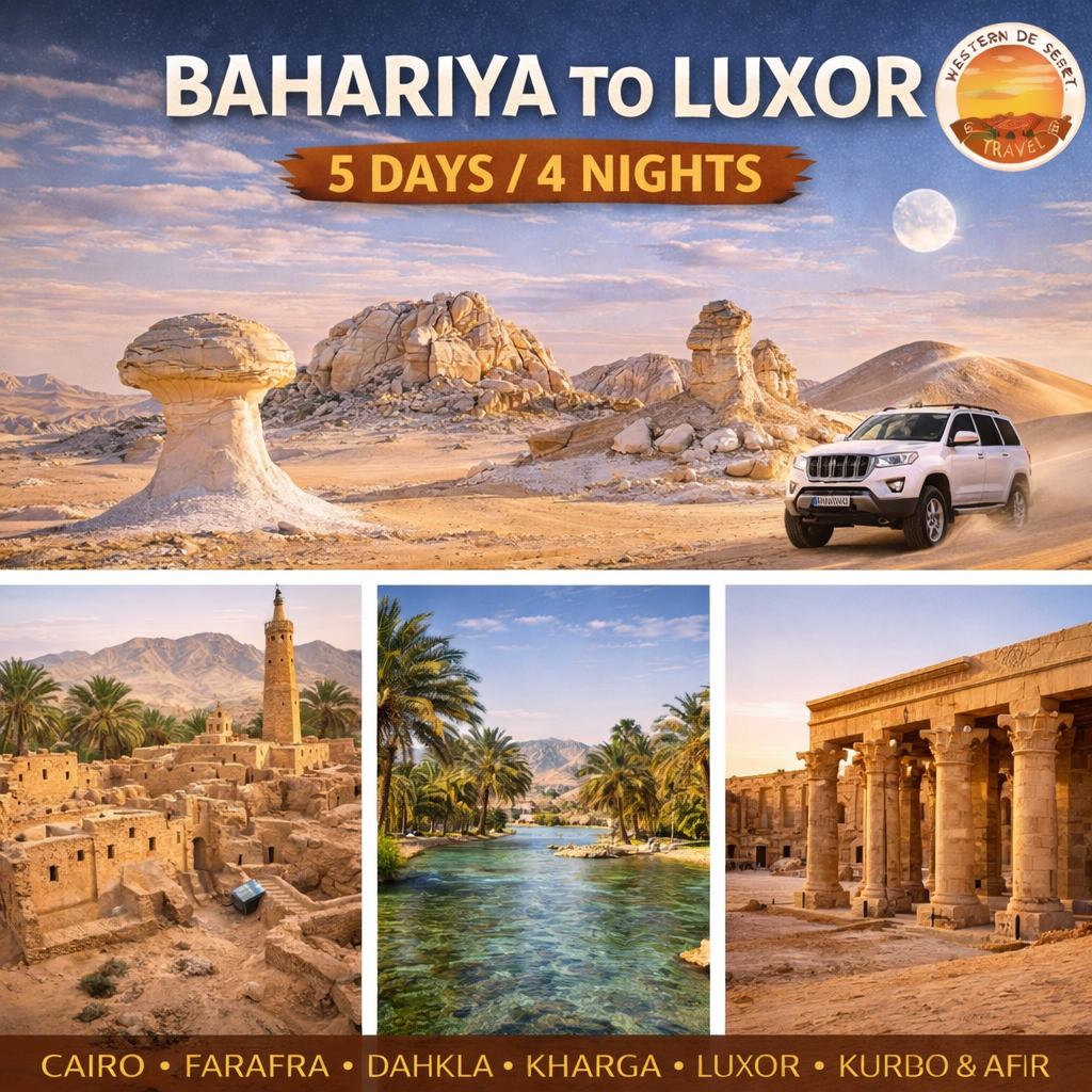 TOUR FOR THE WESTERN DESERT “Tour Oases I”