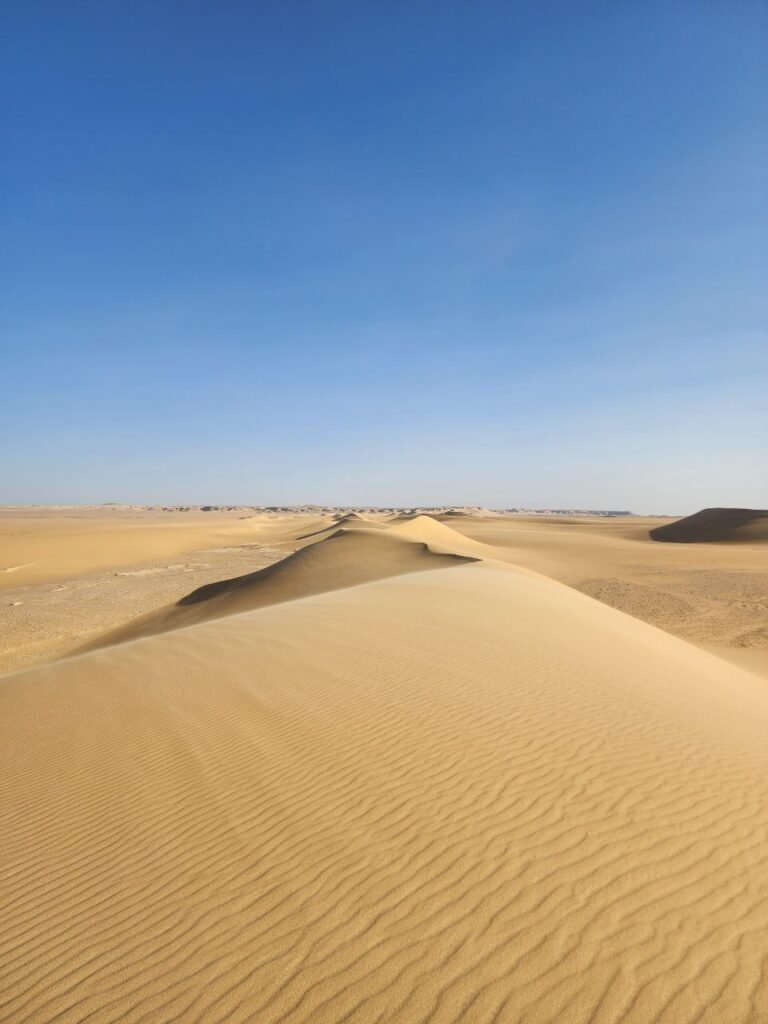 Best Western Desert Tours from Cairo: 2 to 8-Day Trips Compared