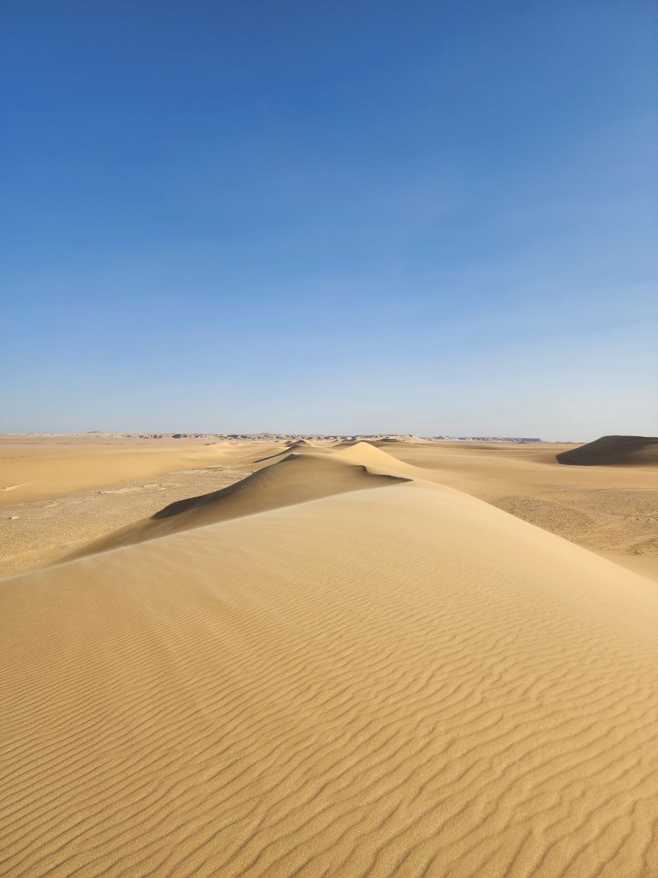 White Desert wonders