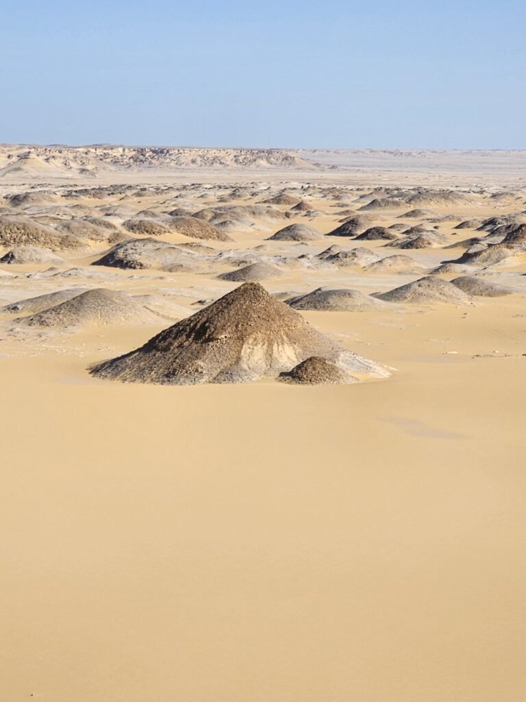 Western Desert Oases Egypt: Siwa, Bahariya, Farafra, Dakhla & Kharga